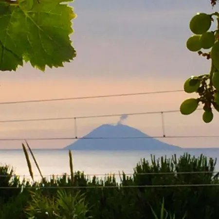 Ferienvilla Bei Tropea Mit Blick Auf Und Liparischen Inseln By Interhome 圣多米尼卡